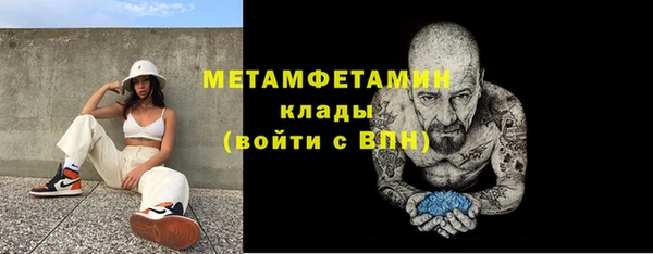 шишки Осинники