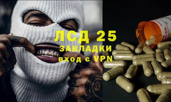 MESCALINE Аркадак