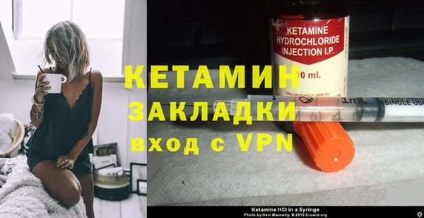 шишки Осинники